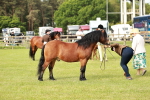SBM_00516