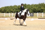 SBM_003676