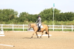 SBM_000290