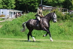 3E7A8253