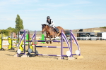 Class 6 - National B&C Handicap Championship Qualifier 1.25m 1.30m portfolio