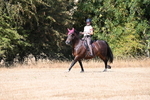WJ6_8632
