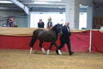 SBM_16684