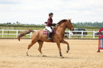SBM_005201