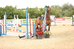 SBM_007441