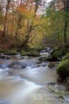 Afon Clywedog, autumn