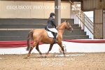 BPP_8535