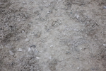 SBM_006103