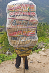 Nepal portfolio