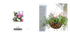 012 Hanging Basket