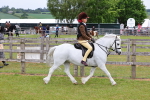 SBM_08550