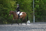 WJ5_9832