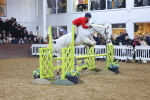 SBM_004330