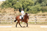 SBM_002976