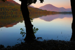 Late Evening Light on the Shores of Loweswater       ref 5401
