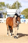 SBM_08531