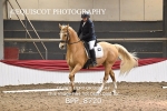 BPP_8720