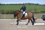 BPP_6203
