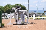 BPP_1831