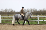 SBM_007486