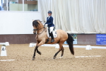 SBM_001937