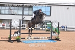 BPP_8774