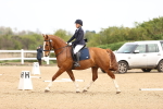 SBM_007442