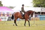 SBM_10736