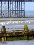 Worthing 04