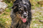 Clough Head-804