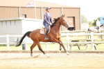 SBM_004784