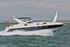160813 BALLENA FAIRLINE TARGA 43 Y92A2009