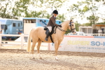 Class 423 - Equitation (best rider) Adult portfolio
