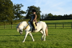SBM_56490
