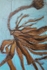 1. Seaweed, Acrylic on Board, 60cm x 40cm