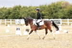 SBM_002919