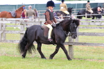 SBM_08496