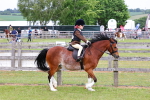 SBM_08546