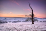 z2624 Frosty Dawn Glow Wroxall