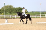 SBM_009040