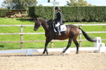 Unaffiliated Dressage portfolio