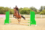 SBM_005045