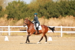 SBM_016709