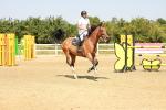 SBM_002176