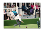 MDBL Ch of Ch 2013 Tom In Action b