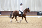 SBM_007621