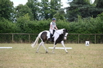WJ6_5356
