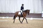 SBM_01214