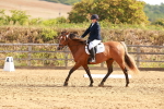 SBM_000466