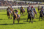 141023-Race 3-Montassib-0408
